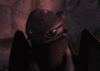 nightfuryx Avatar