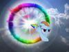 rainbowdashisaboss Avatar