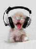 anonanomaly Avatar