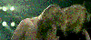 callmeribs Avatar