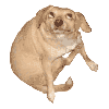 robercod Avatar