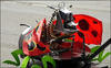 ladybugscankill Avatar