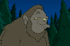 HST Avatar