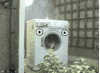 hysteriaward Avatar