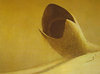 sandworm Avatar