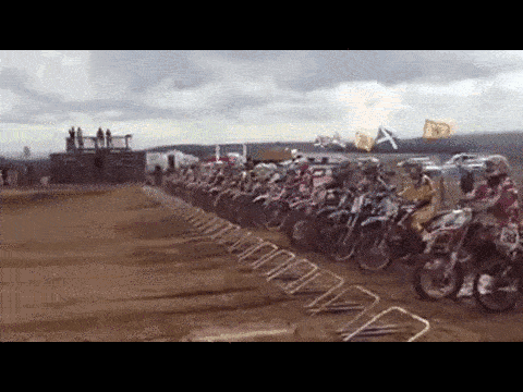 Be+yourself+slow+and+steady+wins+the+race_d02375_5416824.gif