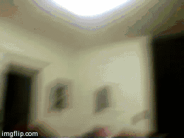 Bean's animals Comp. I've been seeing content with bunny gifs a lot lately, so here's some gifs of my rabbit sorry for having to look through the wires on this 