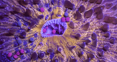 Beautiful and creepy sea creatures. full video: vimeo.com/118853074 totally worth a watch... Expecially creepy