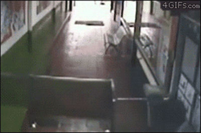 Big Fail Gif Comp!. One more comp for the night. These ones had me chuckling. Enjoy!.. MFW half of these.