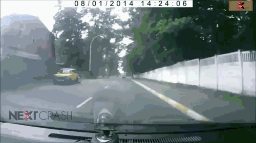 .GIF Dump 1/1. Dump your gifs in the comments you.