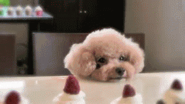 Feeling Depressed?. .. Not anymore. Thanks OP, I really needed that.