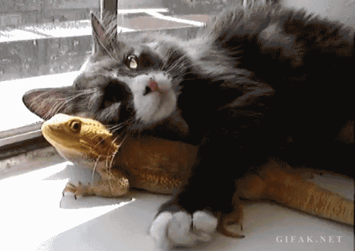 Feeling Depressed?. .. Not anymore. Thanks OP, I really needed that.