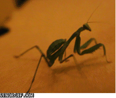 FJ folder/reaction pic dump part 2/?. Addy says FJ is loosing traffic and to upload content, might as well upload what I can from my "FJ stuff" folder