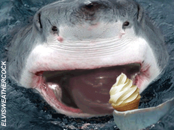 Jaws_99257d_702059.gif