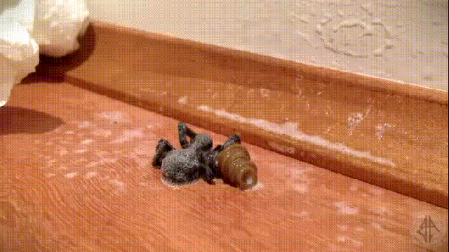 nope.jpeg. .. What the flying is the 1st one..