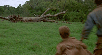 Ruuuuuun_e32657_5558354.gif