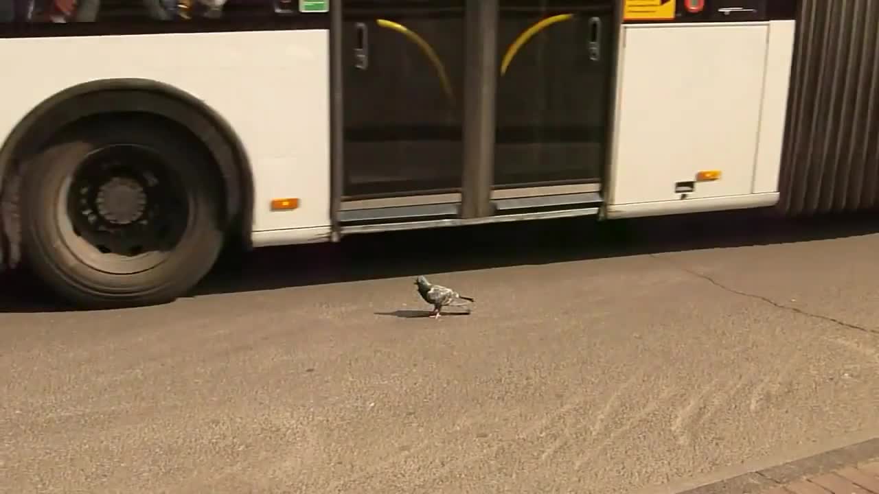 **beardlessbeard used "*roll picture*"****beardlessbeard rolled image** see you at the front page