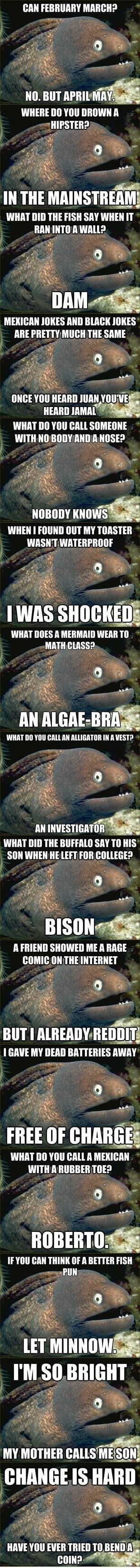 Bad Joke Eel Mega Comp Bad Joke Eel Mega Comp. anyone really want something morbid? Go to this link. It's being added to daily since last week. . BAH CEBPMY M “III ll rss' In I q WHAT