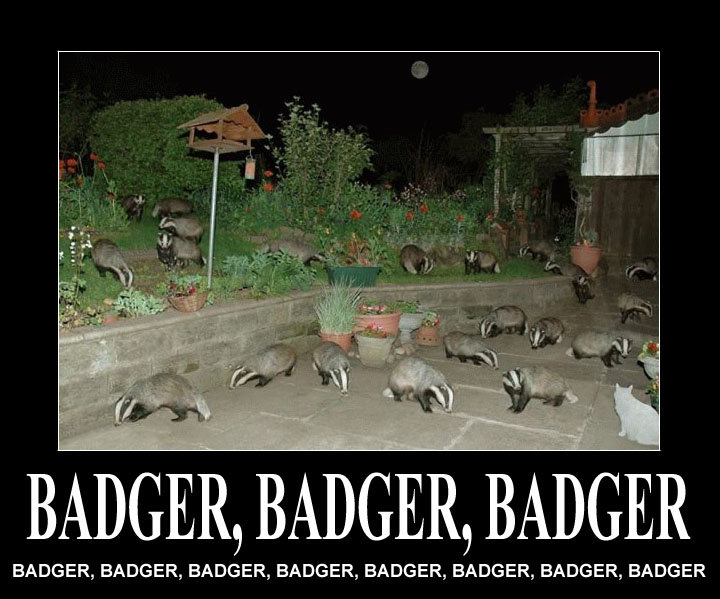 badger, badger, badger badger, badger, badger. Let's bring back funny things on top! (hoping this is one of those). <br /> I know the badger badger thing is old, but i just foun