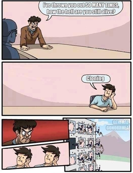 Dankness intensifies. Desc.? What do you need a desc. for?. HT 5 HRH ill