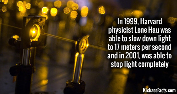 facts you NEED to know. . Mathematician Paul Ems, an a' . avid amphetamine user, ease accepted a friend' s , challenge ta stay dean far 30 days. Edits won the b