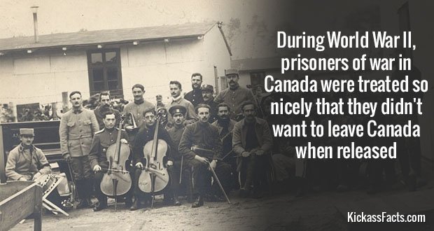 Facts and shit. . During WWW, a German soldier E‘ named Fritz Christen steed his i ground for 3 straight days and a.. gea-'_ .,' gulf knocked out 13 Soviet tank