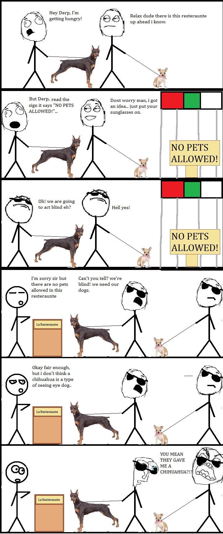 Fucking Chihuahuas Fucking Chihuahuas. Check out some other /funny_pictures/2712387/4chan+Not+Always+Retarded/ EDIT: yeah! Went from level 21 to level 27.. I getting hungry! Relax