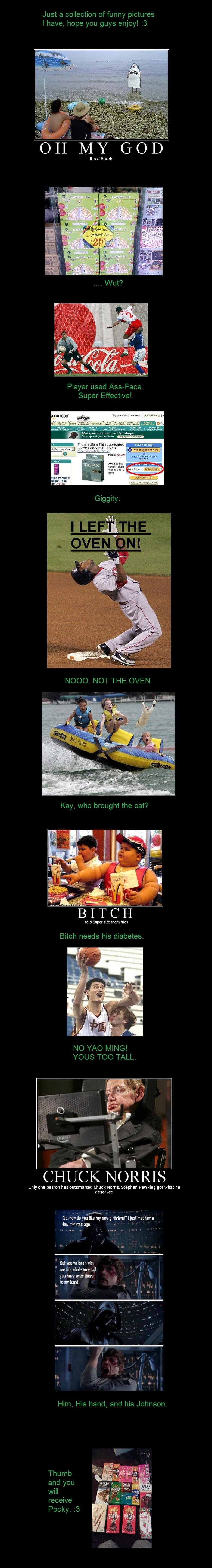 Funny Picture Compilation Funny Picture Compilation. Hope you enjoyed! <br /> YOUR POCKY WILL RANDOMLY ARRIVE SHORTLY.<br /> POSSIBLY IN A WEEK. OR A YEAR.<br /> OR THE
