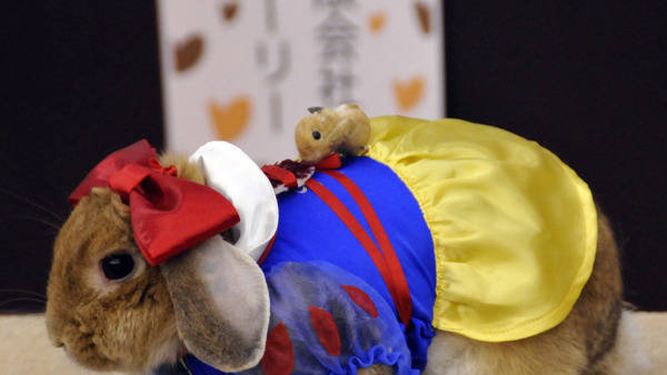 Japan 5.... Part 4: /Japan+4/funny-pictures/5464337/ Part 6: nope, this is the last one. self '