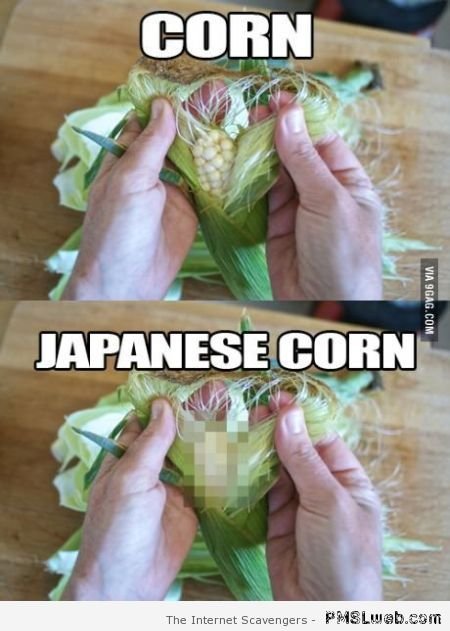 Japan 2.... Part 1: /Japan/funny-pictures/5446041/ Part 3: /Japan+3/funny-pictures/5460566.. time to party with the japs