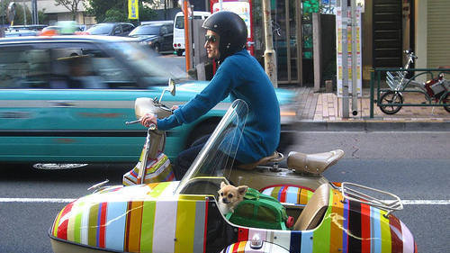 Japan 5.... Part 4: /Japan+4/funny-pictures/5464337/ Part 6: nope, this is the last one. self '