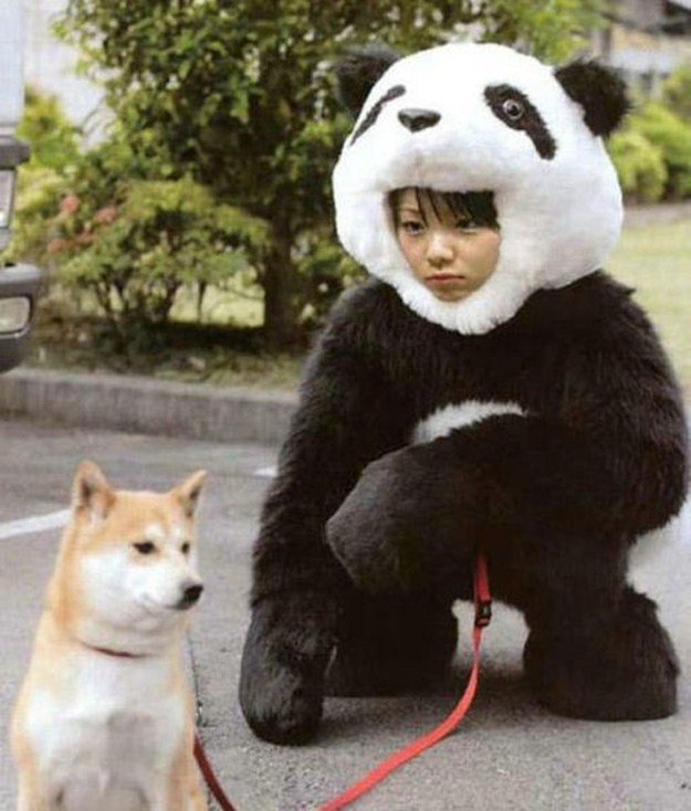 Japan.... Part 2: /Japan+2/funny-pictures/5459619/.