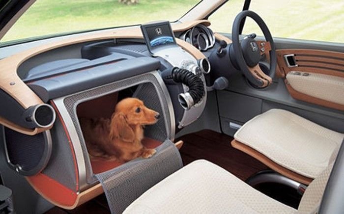 Japan.... Part 2: /Japan+2/funny-pictures/5459619/.