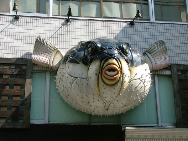 Japanese Food: Fugu. Fugu is a fish (pufferfish) that has been consumed in Japan since antiquity. Fugu is best known for its poisonous potential. Pufferfish con