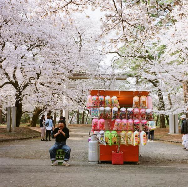 Japanese Food: Street Foods. 1. Yaki Imo Yaki Imo are baked sweet potatoes cooked over a wood fire. Yaki Imo trucks and carts fitted with wood stoves can be fou