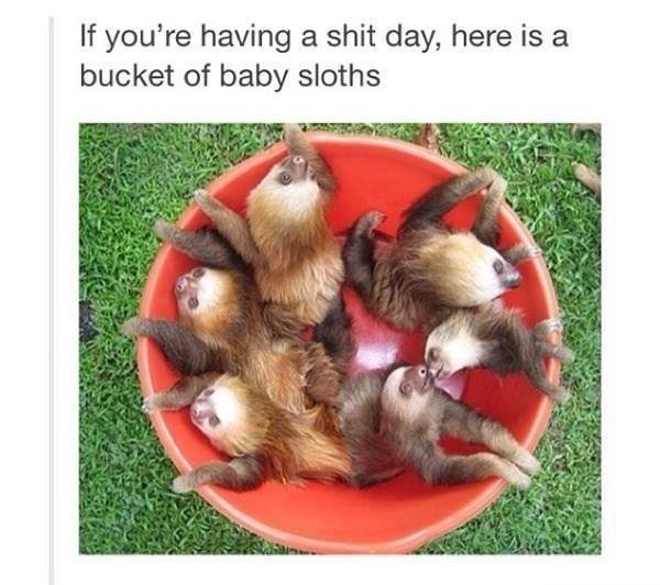 Just in case you're having a bad day. If you're having a bad day, have this picture. ^_^. If '! having [ day, were is 3. bucket of baby moths. Pic related