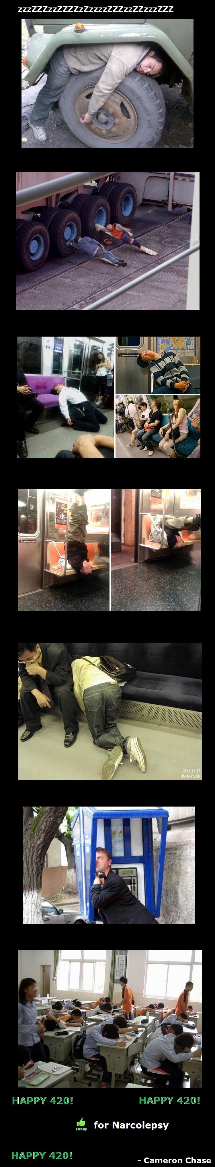 Nap Time Nap Time. light one up for me Funnyjunk. happy 420.<br /> 1#! never made it to the top before! sweet!<br /> Check this out----&amp;gt; /funny_pi