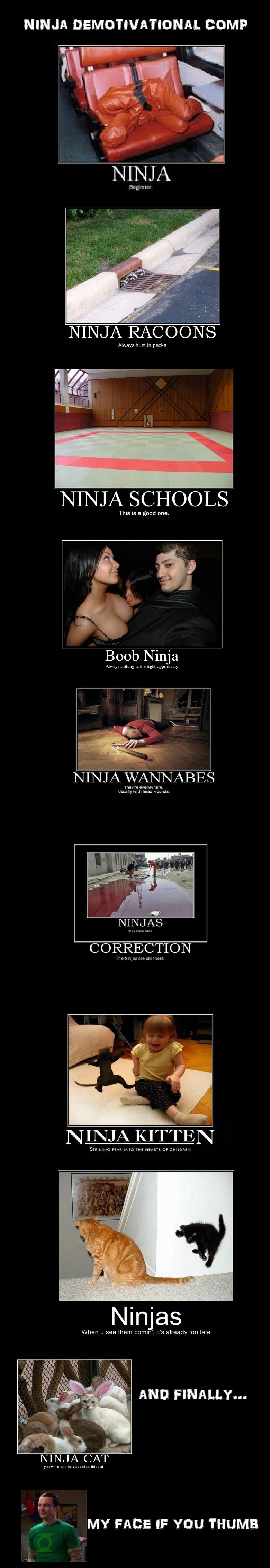 Ninja Comp 2 Ninja Comp 2. Part 2 has arrived!<br /> Found on the interwebs<br /> Thumb &amp; Enjoy!<br /> Part 1:<br /> /funny_pictures/1009687/