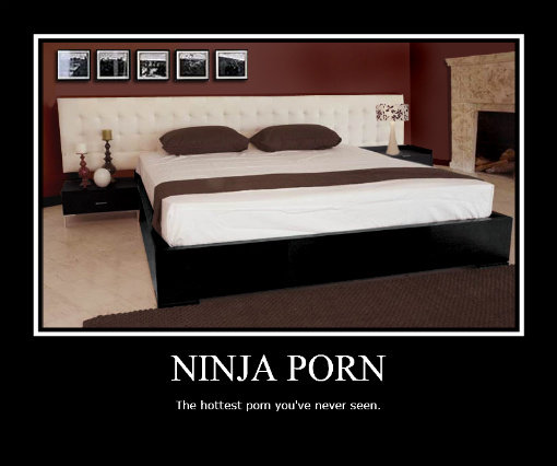 [Image: Ninja_a1416a_1122674.jpg]