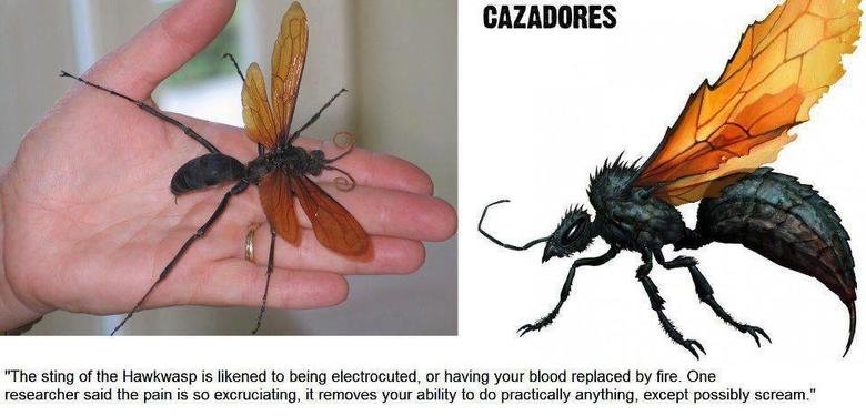 NOPENOPENOPE NOPENOPENOPE. not mine. found on pedo sunflowers facebook page, heres the link its an awesome page www.facebook.com/SunshinePedo. The Sting aw the ' is ! to bei