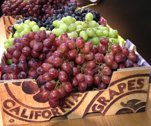 Raccoonwithfruit's comp of fruit - Grape. Did you know that the United States imports 25% of its grapes from Chile? Grapes help minimize the risk of heart attac
