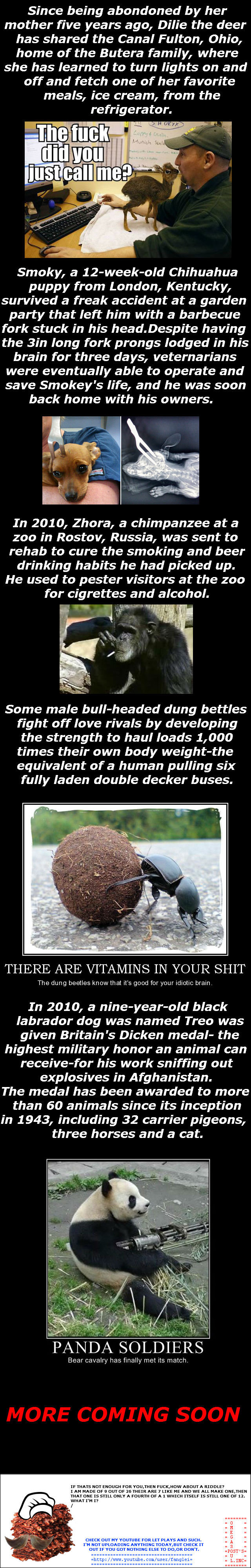 RANDOM FACTS-39 RANDOM FACTS-39. SUB FOR MORE. THE ANSWER TO THE RIDDLE WILL BE IN THE NEXT ONE WITH ANOTHER RIDDLE. www.youtube.com/user/fanglei. Since being abandoned by her