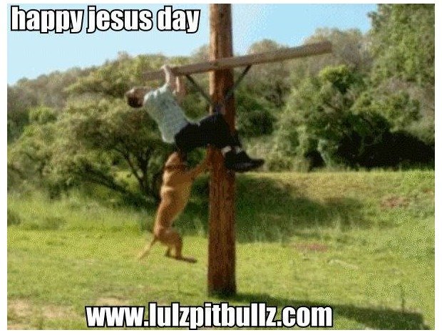 Religion. . the HIS Ell ). Honestly I don't see heated religious discussion nowadays nearly as much as race/Muslim/Jew hate.