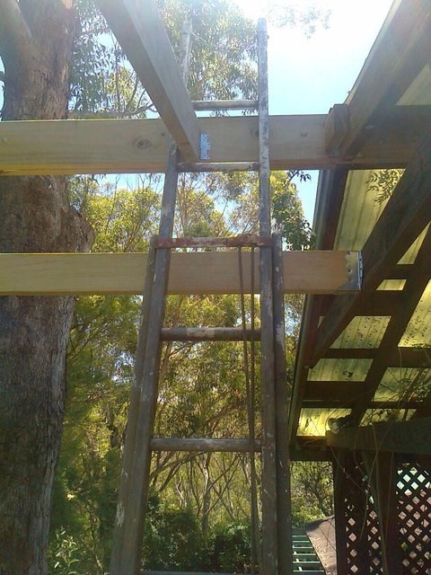 repost comp. Just a collection of my favorite stolen images. So its all repost.. It' s a hard We to he a stick insect. Imagine being a stick insect walking abou