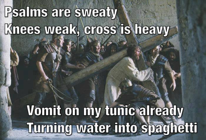 repost comp. Just a collection of my favorite stolen images. So its all repost.. It' s a hard We to he a stick insect. Imagine being a stick insect walking abou