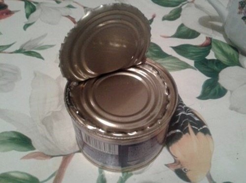 repost comp. Just a collection of my favorite stolen images. So its all repost.. It' s a hard We to he a stick insect. Imagine being a stick insect walking abou