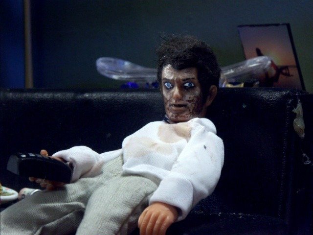 repost comp. Just a collection of my favorite stolen images. So its all repost.. It' s a hard We to he a stick insect. Imagine being a stick insect walking abou