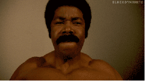 Black+dynamite+_5fc46b8f28008c5fbdfe7fbb217ba458.gif