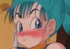 Bulma Comp