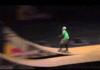 Amazing skateboard jump!